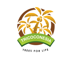 Canvas Logo